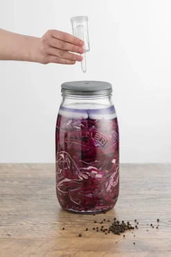 Kilner Set de fermentación 3 l, Transparente TransparenteGris Best