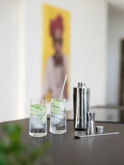 Zone Denmark Set de utensilios de bar Rocks 3 piezas, Metal Plateado Hot