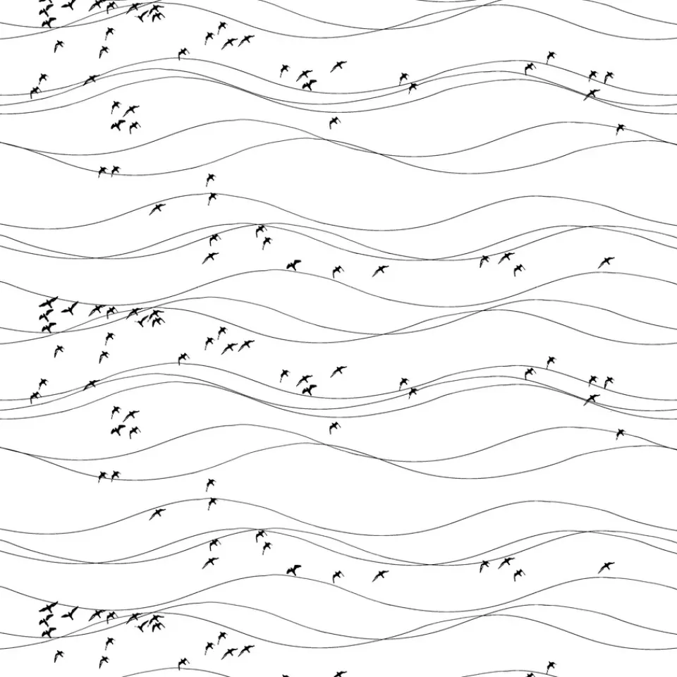 Arvidssons Textil Tela Flyttfåglar, negro NegroBlanco Hot