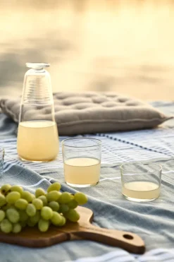 Scandi Living Vasos De Agua<Vaso Day to Day, 22 cl Transparente